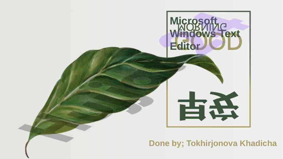 Microsoft windows matn tahriri qo‘llanmasi