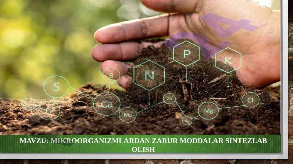 Mikroorganizmlardan zarur moddalar sintezlab olish