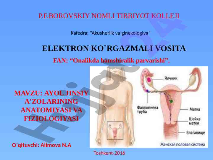 Erotik tukli mushuklar va ayollarning oyoqlari