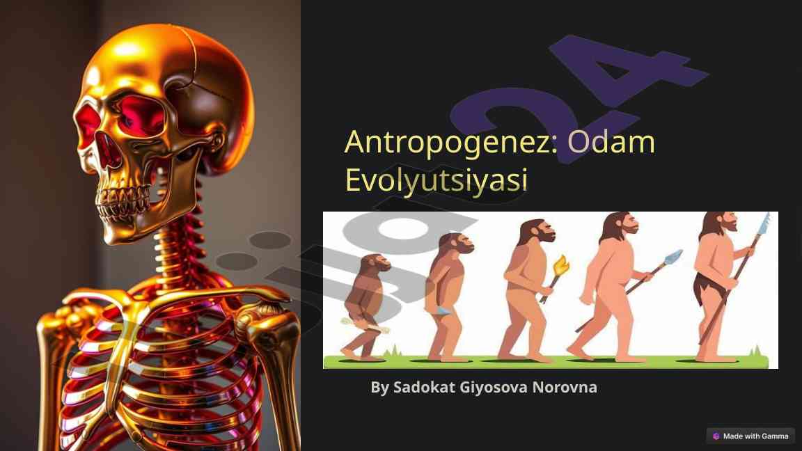 Antropogenez: odam evolyutsiyasi asoslari va bosqichlari