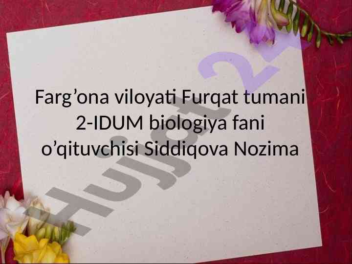 Biologiya talimida interaktiv dasturiy vositalar