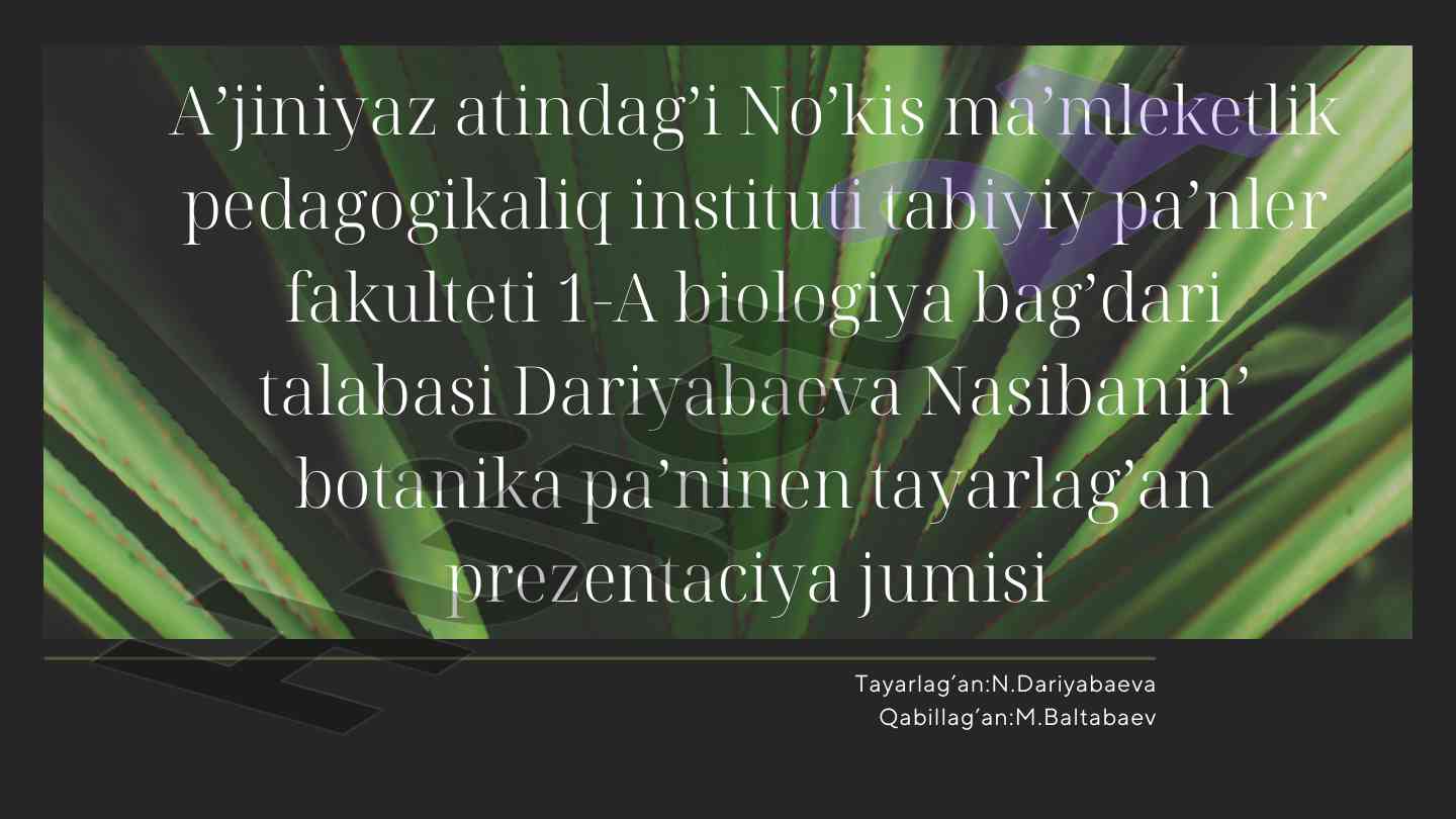 Tamir miyweleri haqqinda uliwma tusinigi