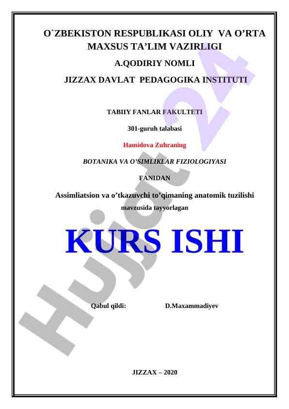 O’tkazuvchi to’qimaning anatomik tuzilishi kurs ishi