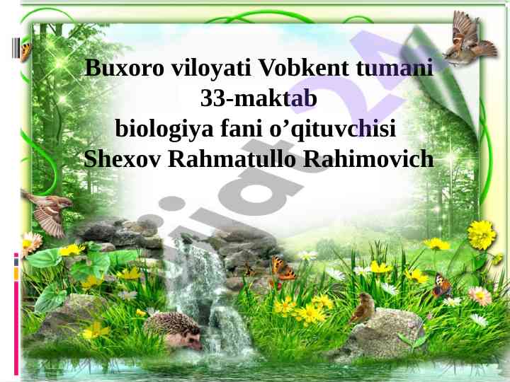 Xavfsizlik texnikasi va laboratoriya jihozlari