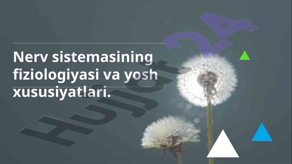 Nerv sistemasining fiziologiyasi va yosh xususiyatlari