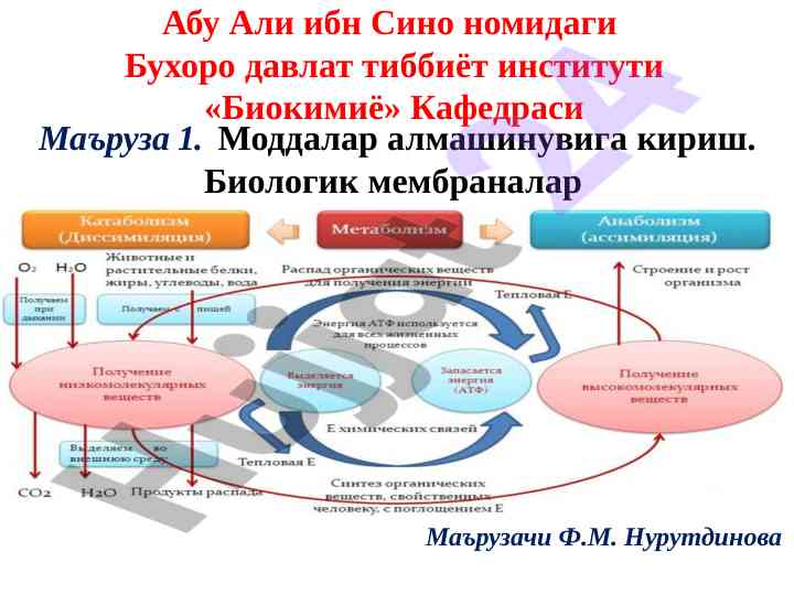 Oziq-ovqat hazm qilishning asosiy prinsiplari