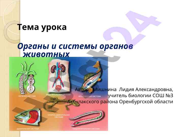 Organy i sistemy organov zhivotnykh