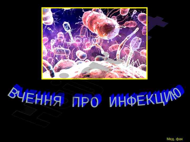 Pandemiyalar vaqti odamzodning salomatligi