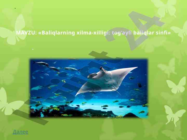 Baliqlarning xilma-xilligi tog'ayli baliqlar sinfi