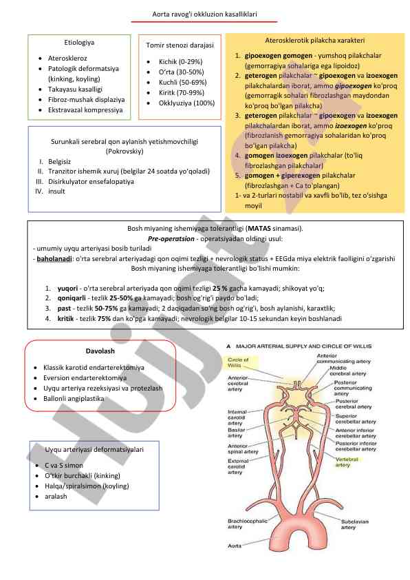 Aorta ravog'i okkluzion kasalliklari etiologiyası