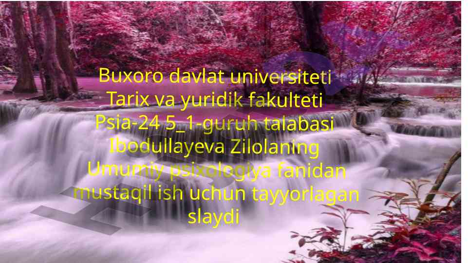 Zamonaviy yonalishlarda hayvonlar harakatlari