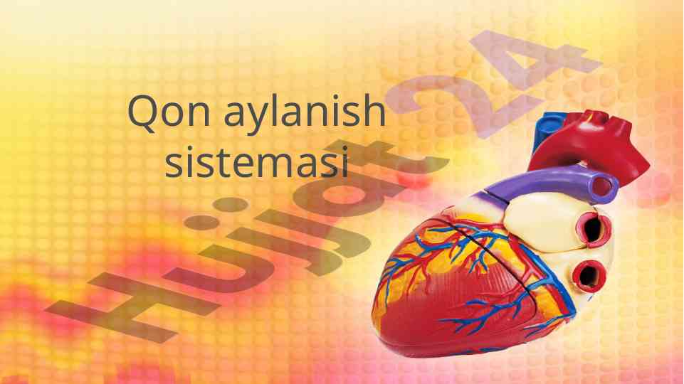 Qon aylanish sistemasi va uning ahamiyati