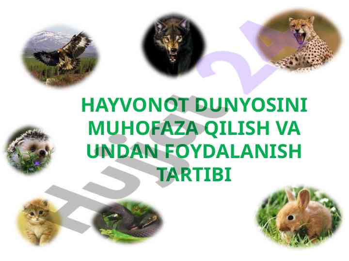 Hayvonot dunyosini muhofaza qilish tartibi