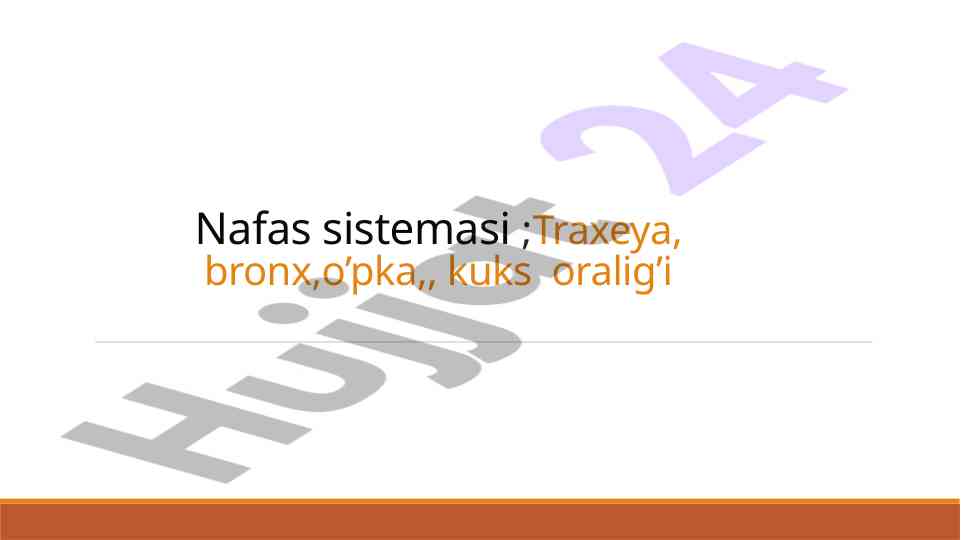 Nafas sistemasi va traxeya tuzilishi