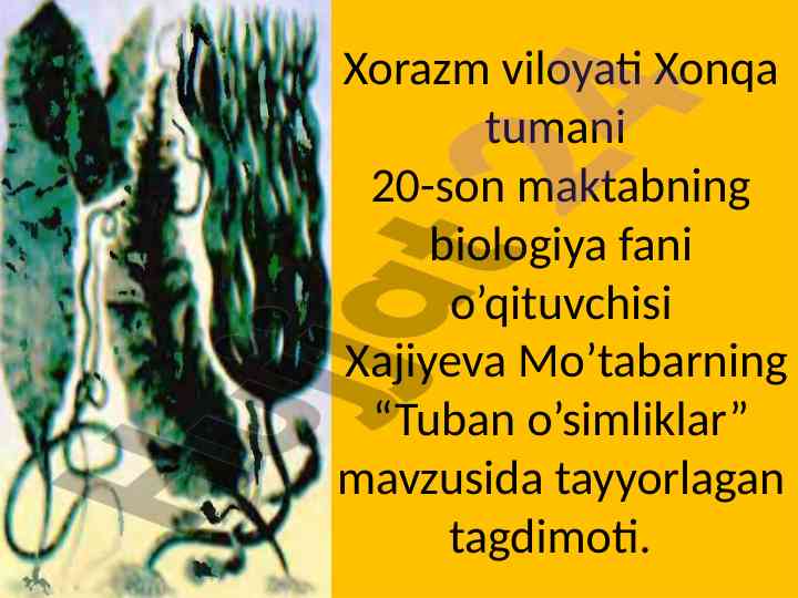 Tuban o’simliklar mavzusida taqdimot