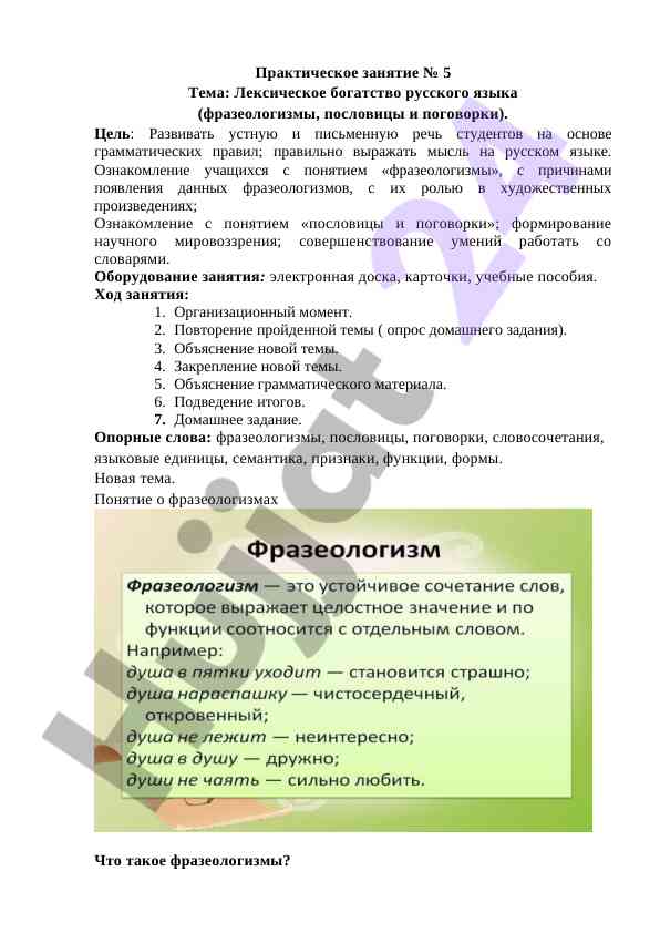 Лексическое богатство русского языка фразеологизмы