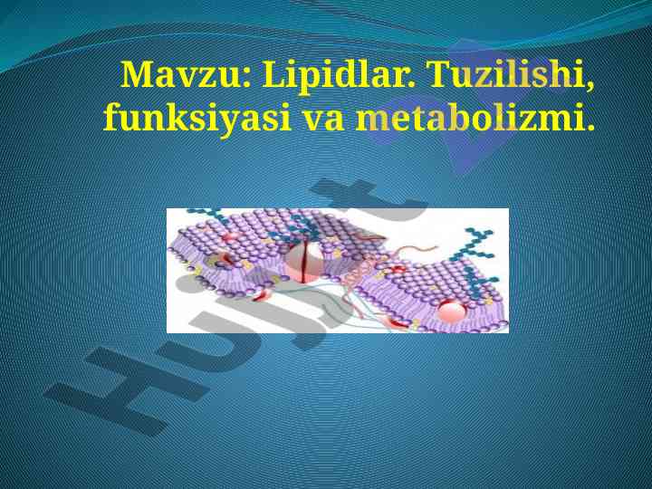 Lipidlаr tuzilishi funksiyasi va metabolizmi