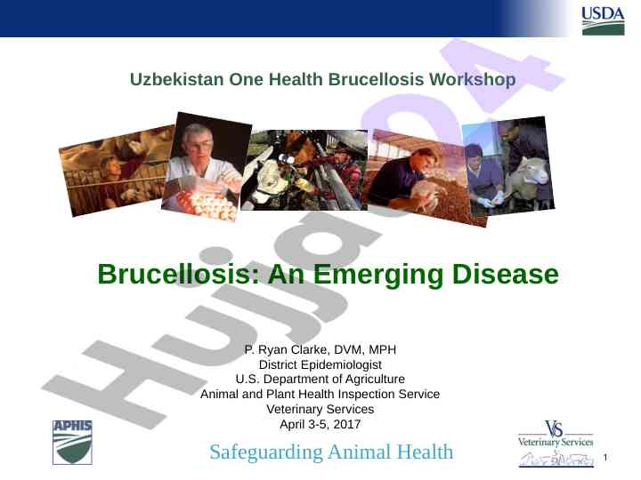 Brucellosis emerging disease zoonotic threats overview
