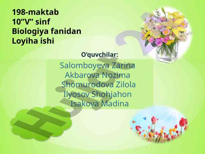 O’simliklarni turli muhitlarda o’stirish loyihasi
