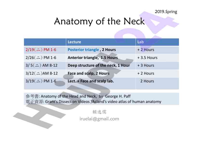 Anatomy of the neck lecture outline