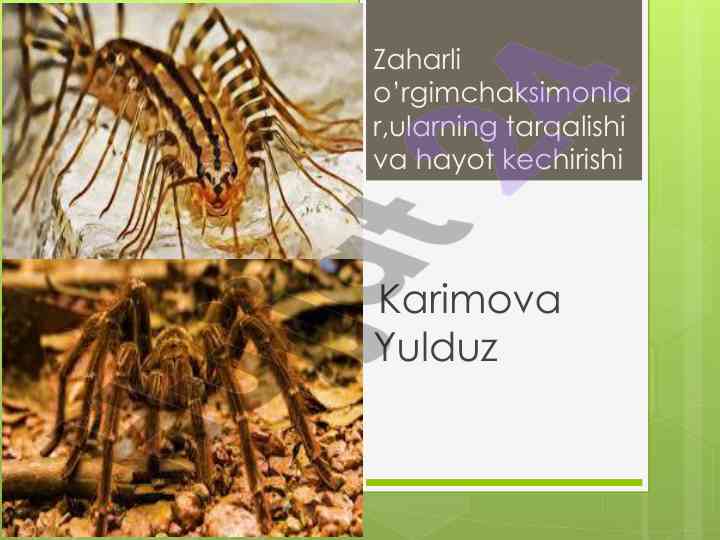 Zaharli o‘rgimchaksimonlar hayoti va tarqalishi