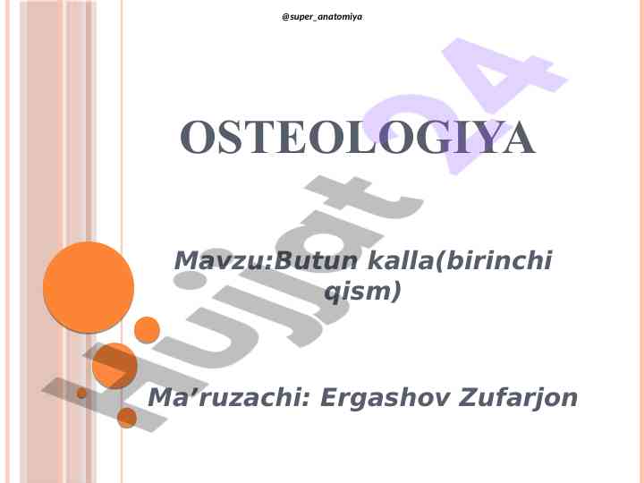 Osteologiya: butun kalla qismi taʼlimi