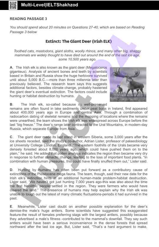 Extinction of the giant deer irish elk research findings