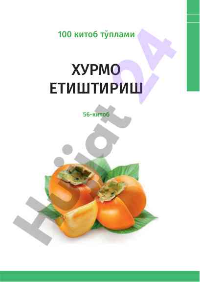 Хурмо етиштириш: қишлоқ хўжалик муаммолари