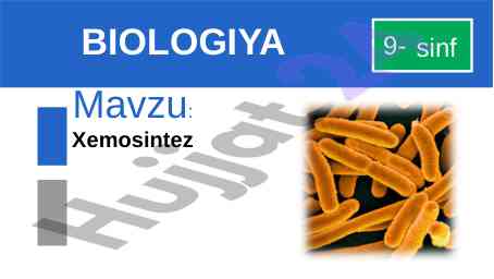 Xemosintez dars rejasi 9-sinf biologiya mavzusi
