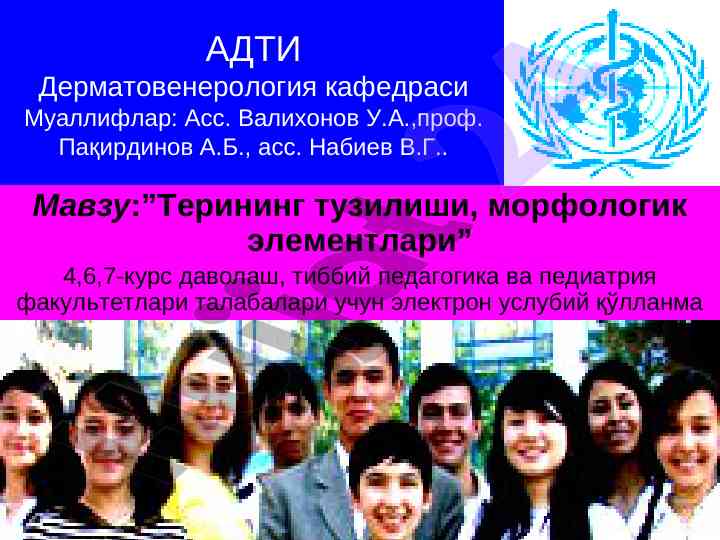 Терининг тузилиши мавзусида электрон усуллар