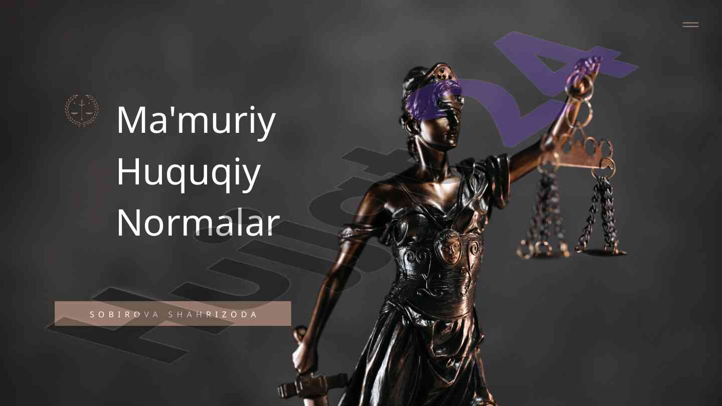 Ma'muriy huquqiy normalarning asosiy tamoyillari