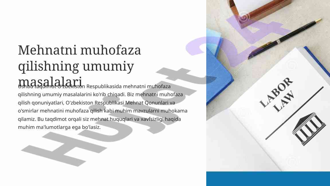 Mehnatni muhofaza qilish masalalari taqdimoti