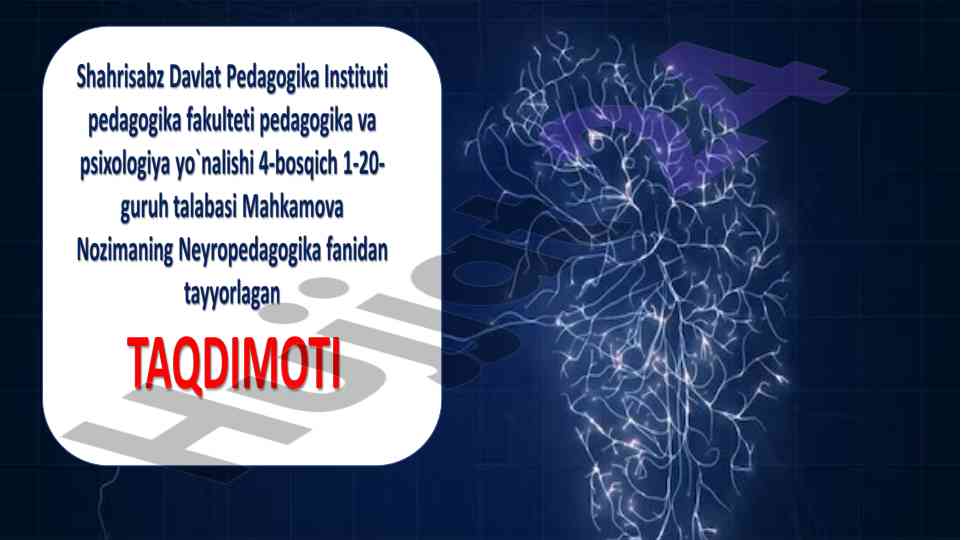 Giperfaol o‘quvchilar bilan ishlash neyropedagogik xususiyatlari