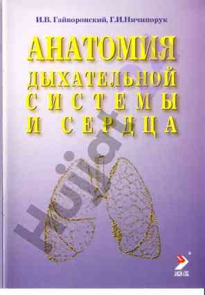Антомия дыхательной системы и сердца учебное пособие