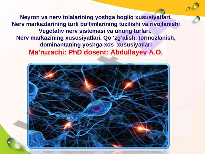 Neyron va nerv tolalarining yoshga bog‘liq xususiyatlari