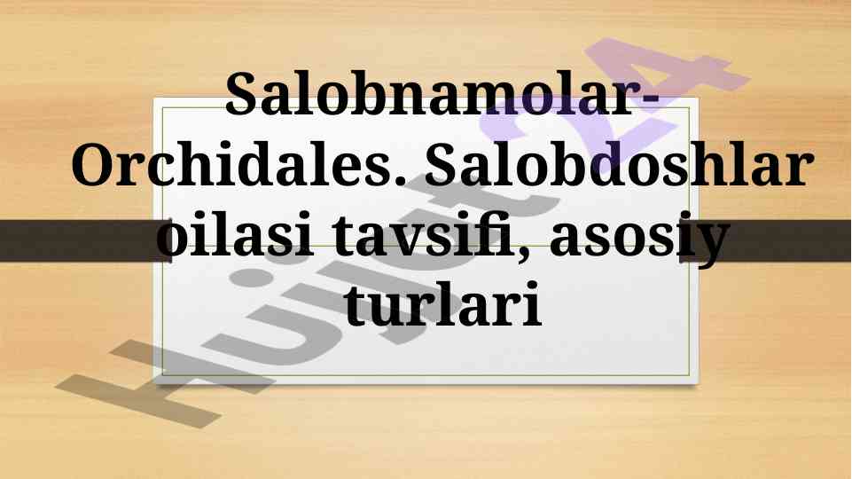 Salobnamolar va xilolnamolar haqida ma'lumotlar
