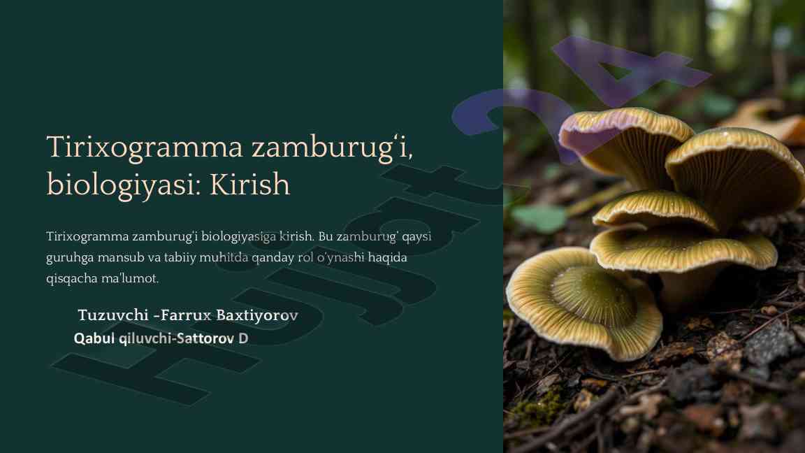 Tirixogramma zamburug‘ining biologiyasi va taksonomiyasi