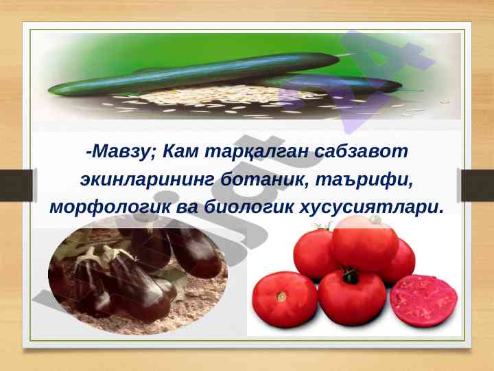 Kam tarqalgan sabzavot ekinlarining biologik xususiyatlari