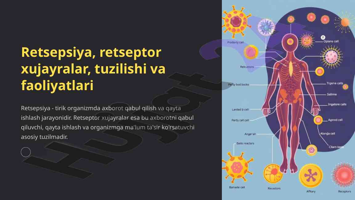 Retseptor xujayralar tuzilishi va faoliyatlari