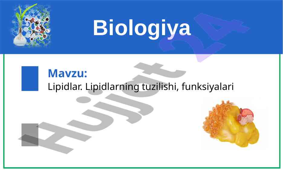 Lipidlar tuzilishi va funksiyalari