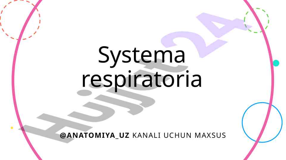 Systema respiratoria: gaz almashinuvi va nafas a’zolari