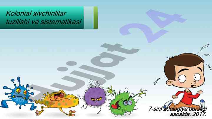 Xivchinlilar tuzilishi va sistematikasi 7-sinf darsligi