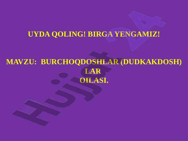 Burchoqdoshlar oilasining umumiy harakterli belgilari