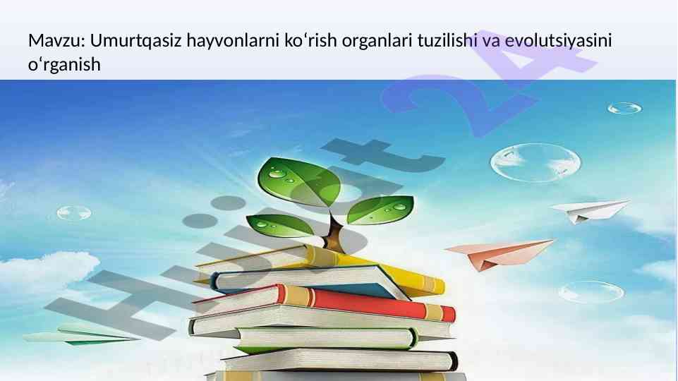 Umurtqasiz hayvonlarni ko‘rish organlari evolutsiyasi
