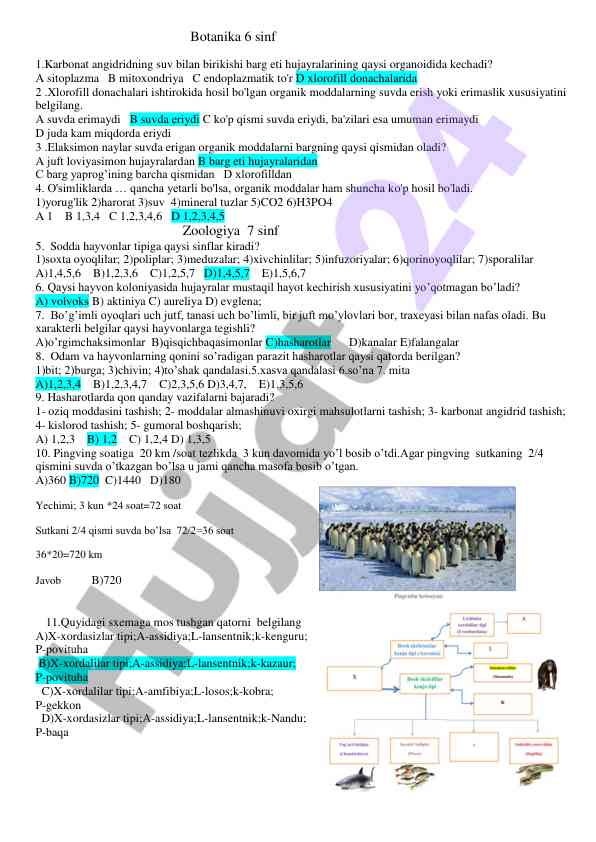 Botanika va zoologiya sinov savollari