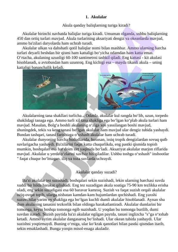Akulalar qanday baliqlarning turiga kiradi