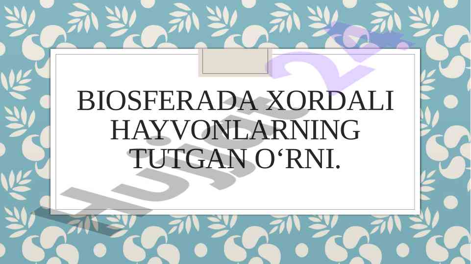 Biosferada xordali hayvonlarning tutgan o‘rni