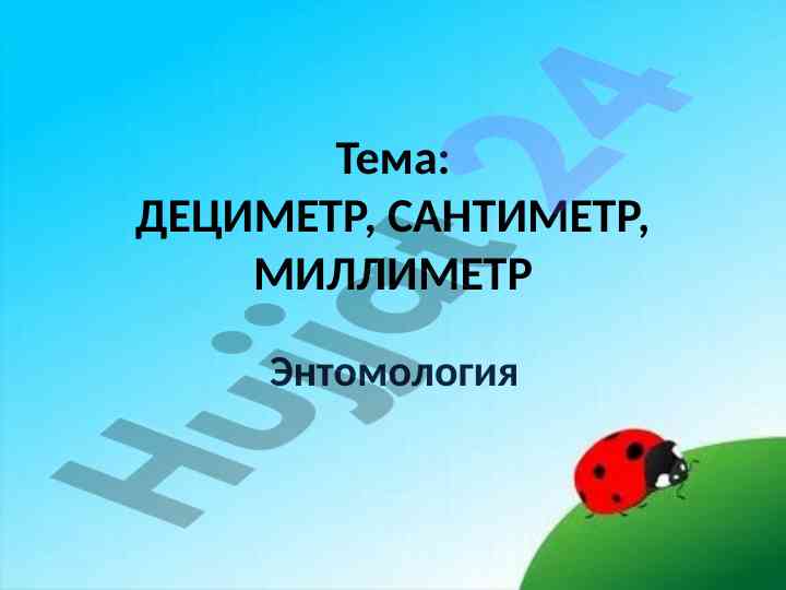 Дециметр, сантиметр, миллиметр в энтомологии