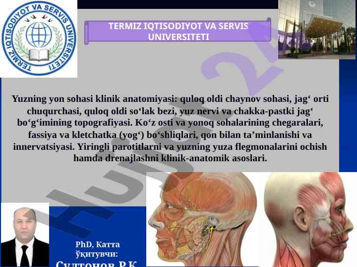 Yuzning yon sohasi klinik anatomiyasi tafsilotlari