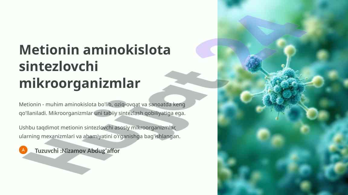 Metionin aminokislota sintezlovchi mikroorganizmlar